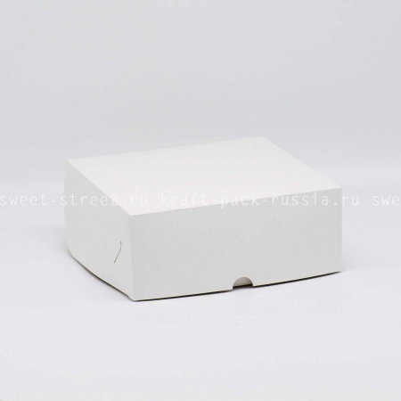 Коробка 25х25х10 см со вставкой, белая (2)/ под заказ