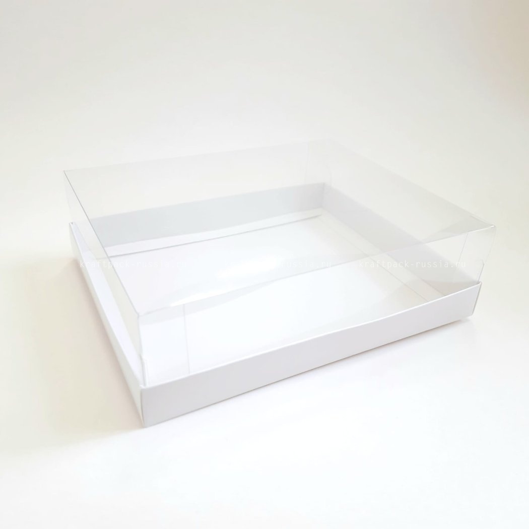 KRAFTPACK Коробка с прозрачной крышкой 20,5х16,5х6 см, белая (6мусс) (2)