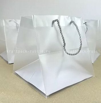 Пакет пластиковый прозрачный 25х25х25 см, с веревочными ручками (2)