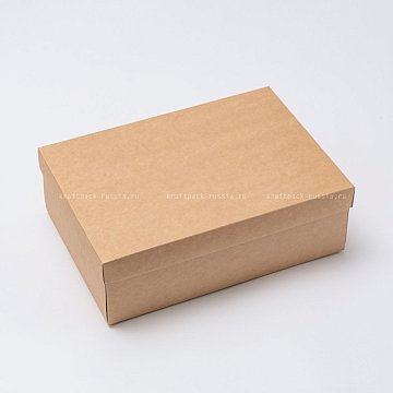 KRAFTPACK Коробка универсальная 20х28х7 см, крафт (2)