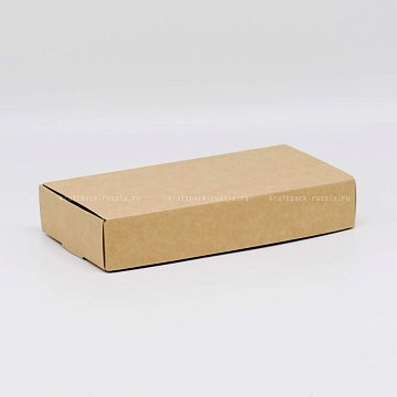 РАСПРОДАЖА KRAFTPACK Коробка 22,5х11х4 см, крафт (Силаева 1) (2)