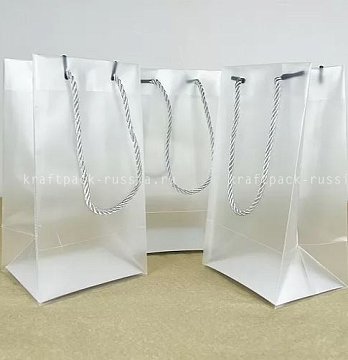 Пакет пластиковый прозрачный 12х22х10 см, с веревочными ручками (2)