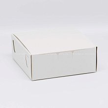 Коробка для пирожных 21х21х7,5 см, белая хром-эрзац (2)