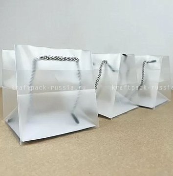 Пакет пластиковый прозрачный 12х12х12 см, с веревочными ручками (2)