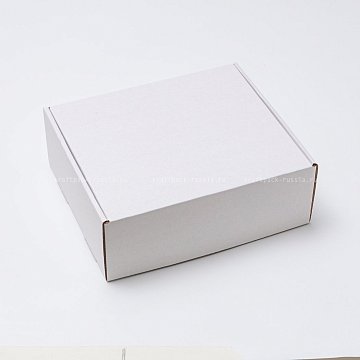 KRAFTPACK Коробка из микрогофрокартона 24х20х8,5 см, белая (2)